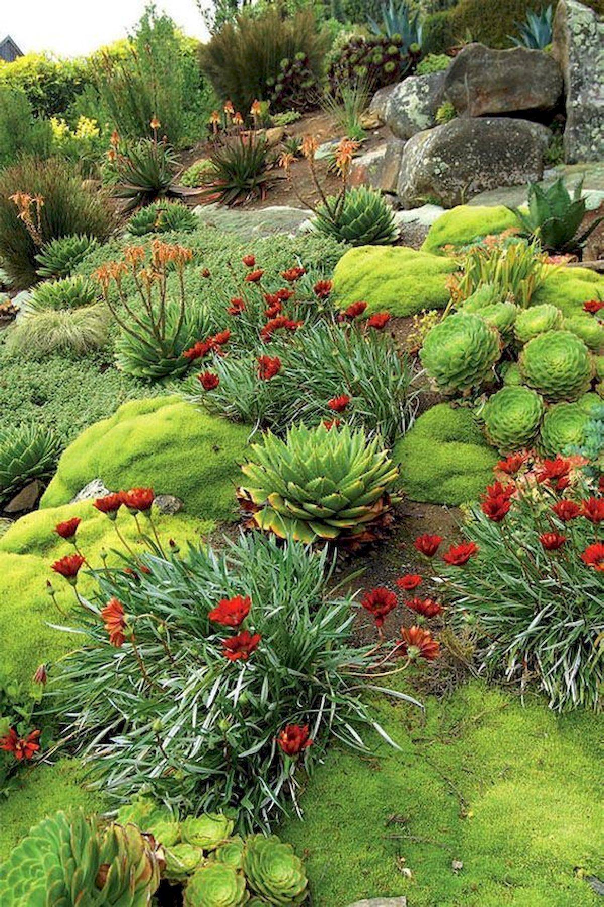 Beautiful Front Yard Rock Garden Landscaping Ideas Rock Garden