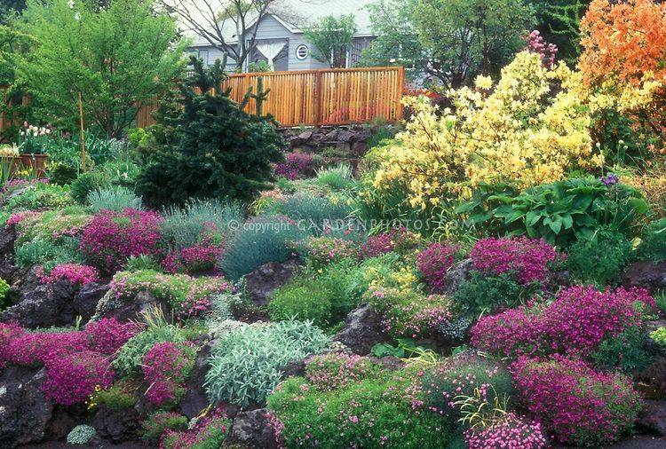 Awesome Conifer Garden Ideas