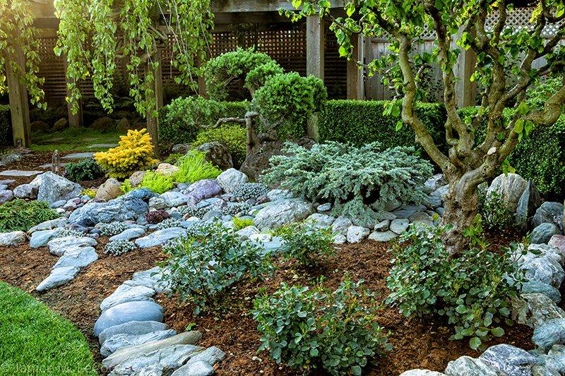 Conifer Garden Ideas