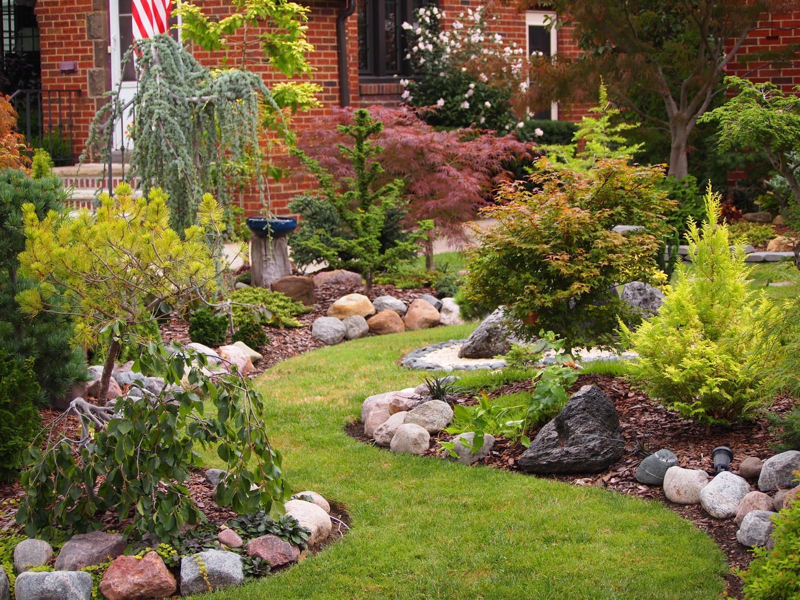 Rock Garden Dwarf Conifers Dwarf