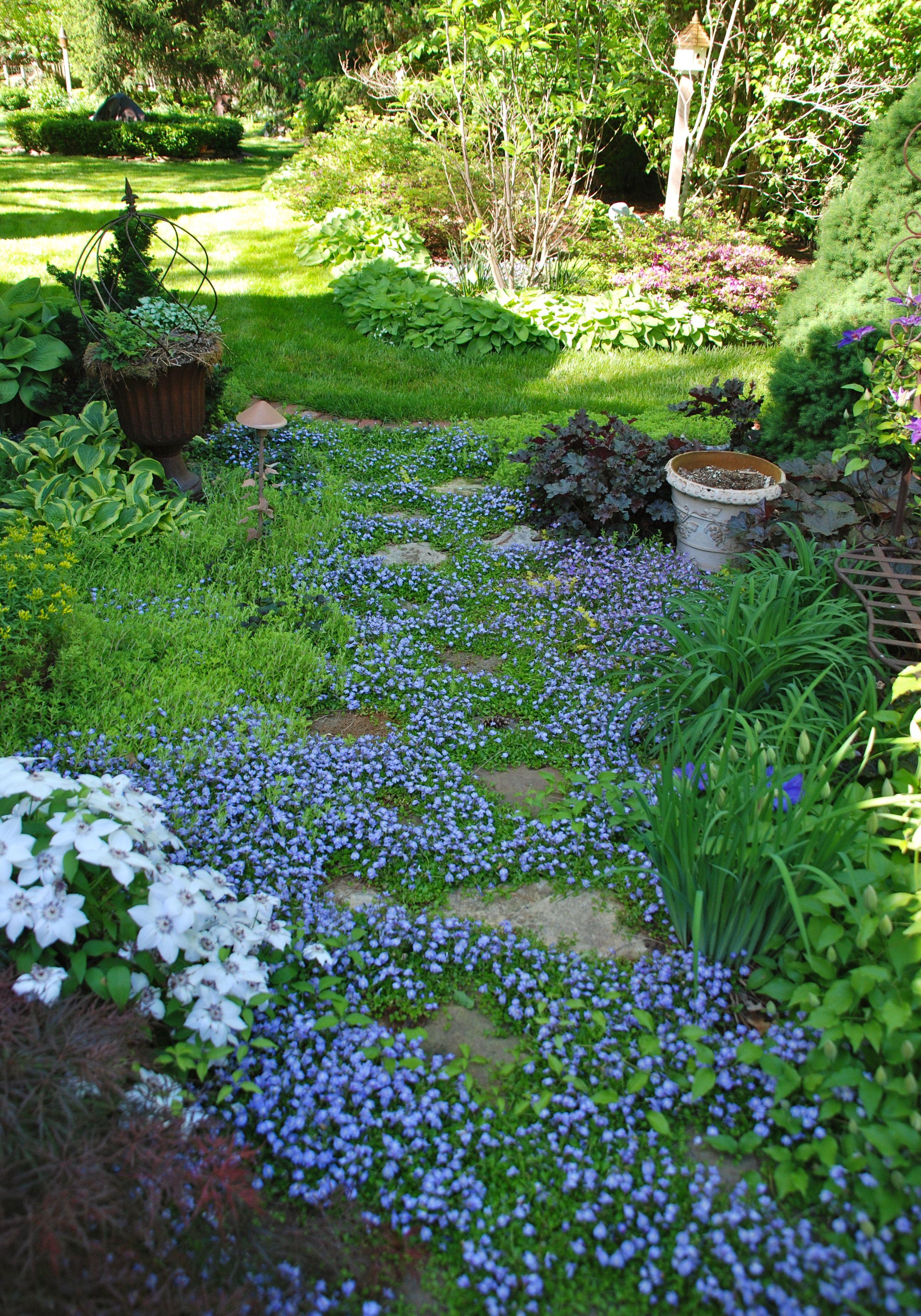 Rock Garden