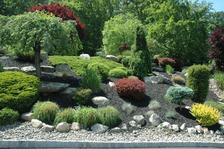 Garden Designs Foundation Shrubs