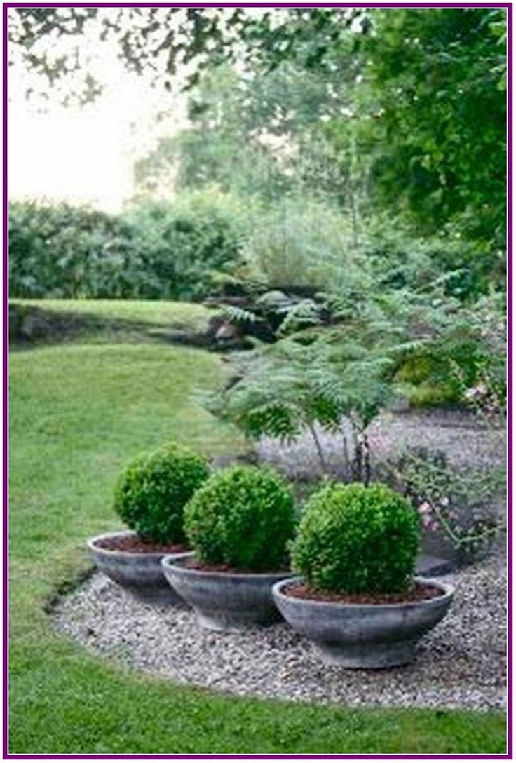 The Best Rock Garden Plants Ideas