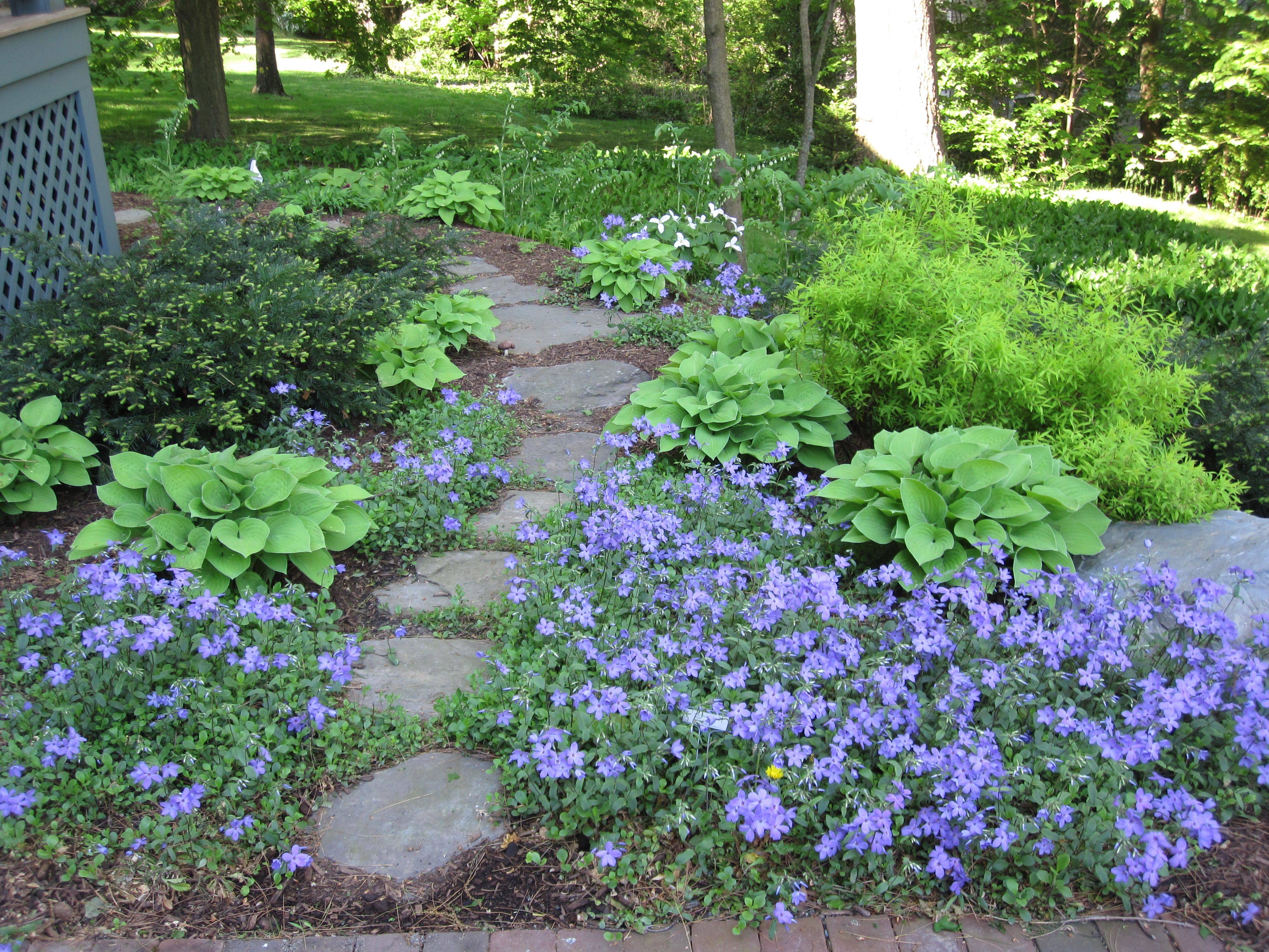 Rock Gardens Interior