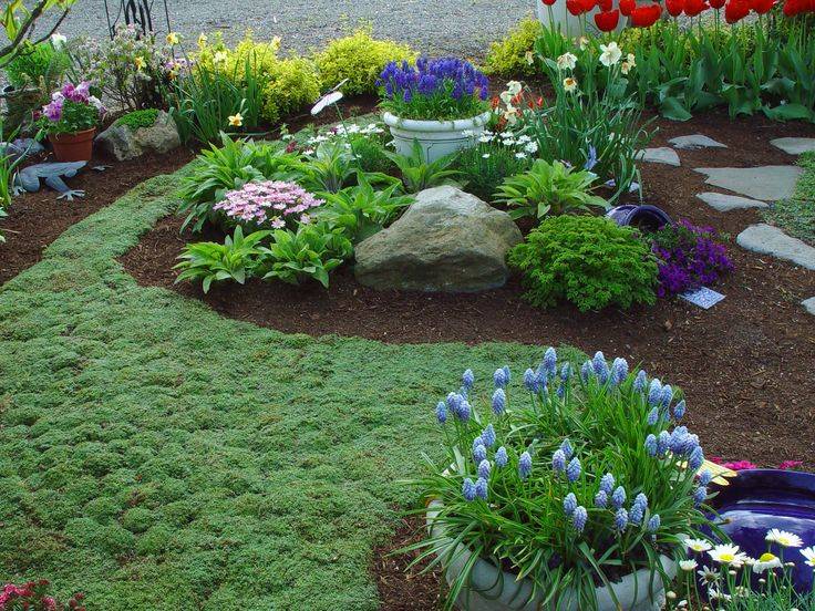 Rock Garden Ideas