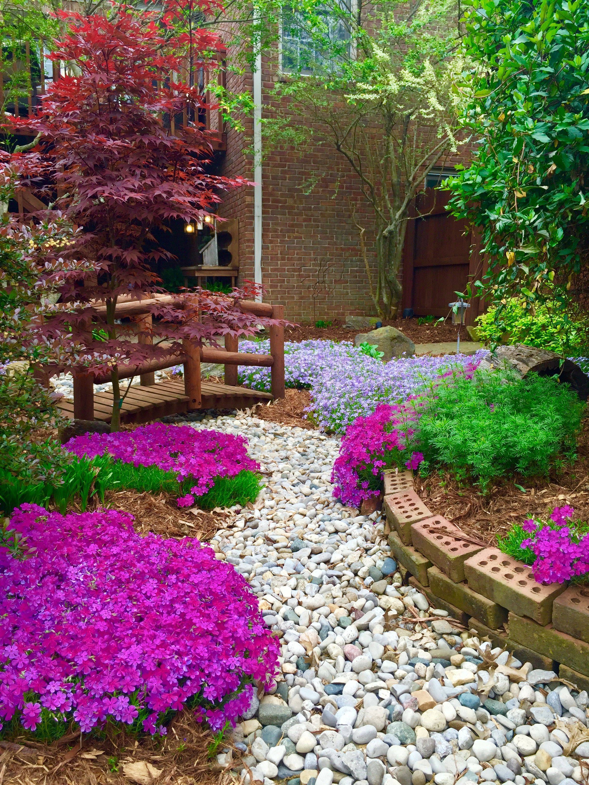 Rock Garden Plants