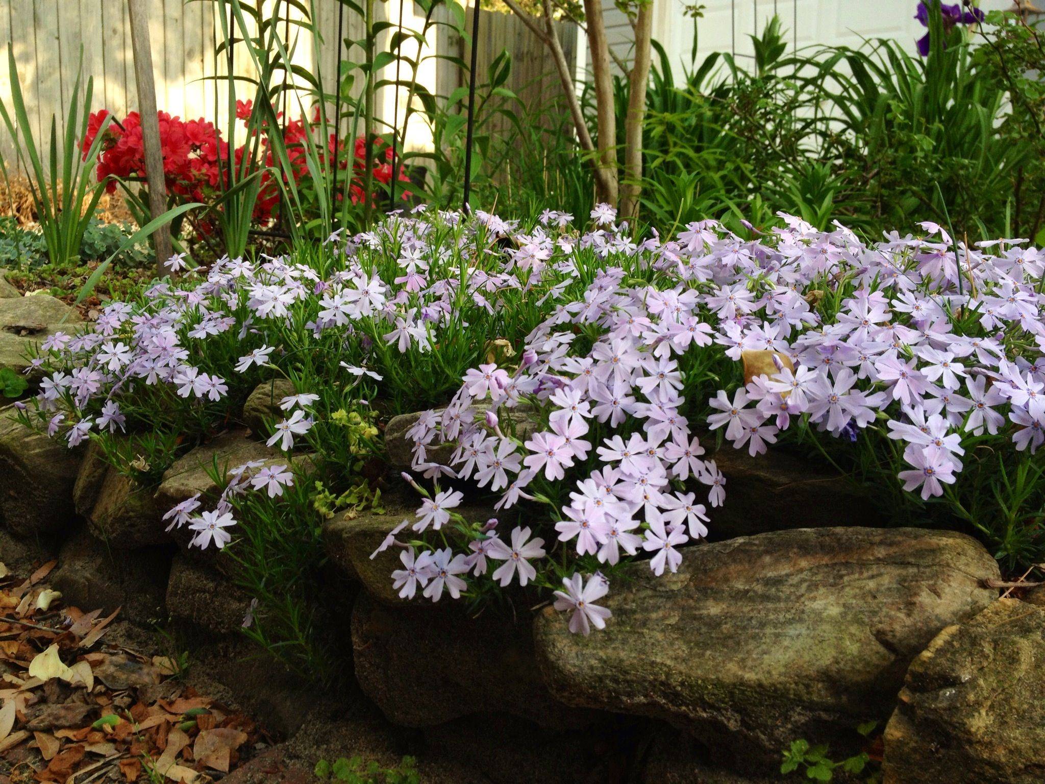 Dry Creek Bed