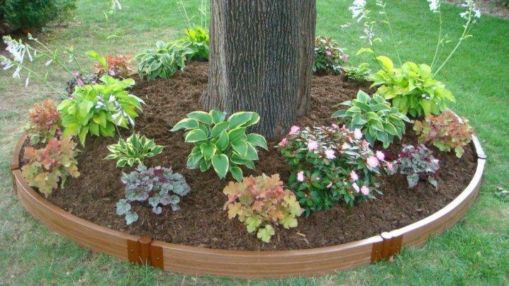Eyecatching Flower Beds Around Trees You Need To See