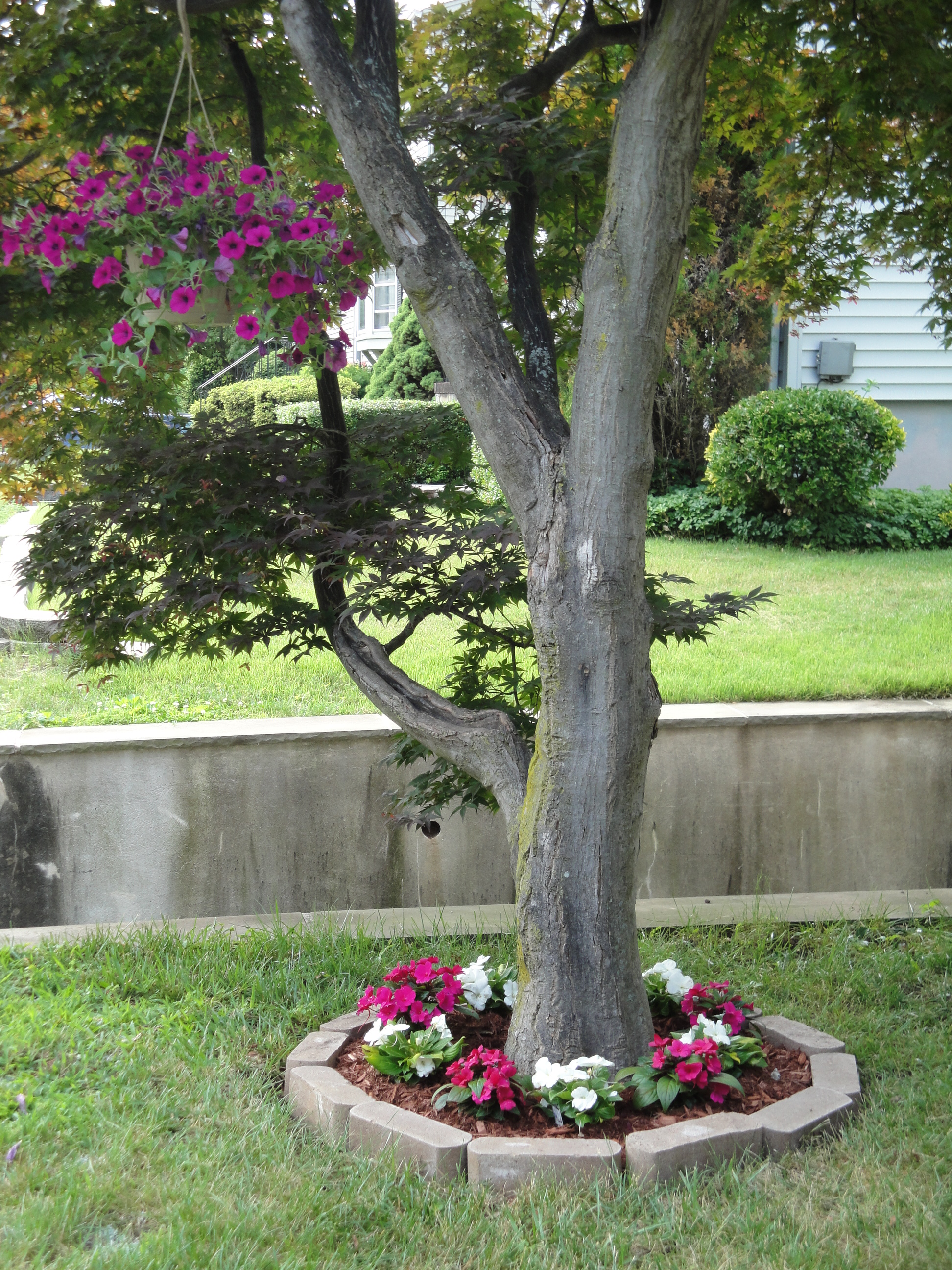 My Minnesota Gardens