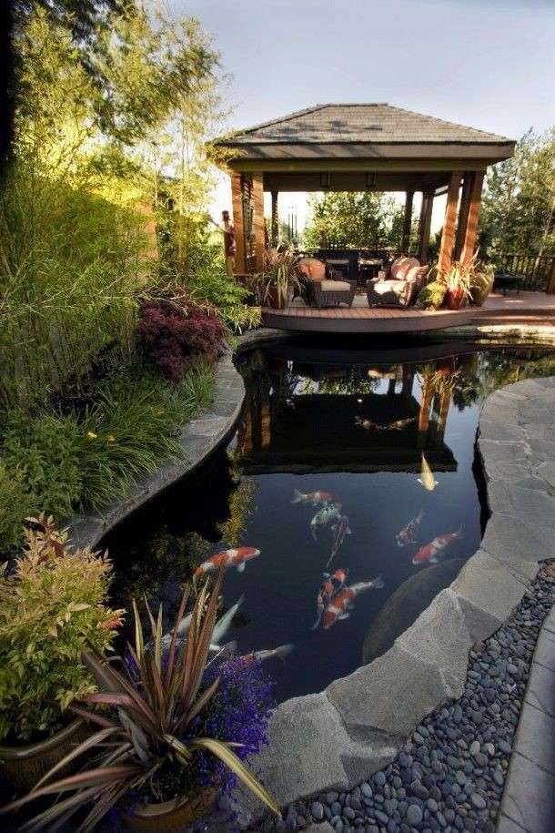Ground Patio Pond Backyard Summer Small Fish