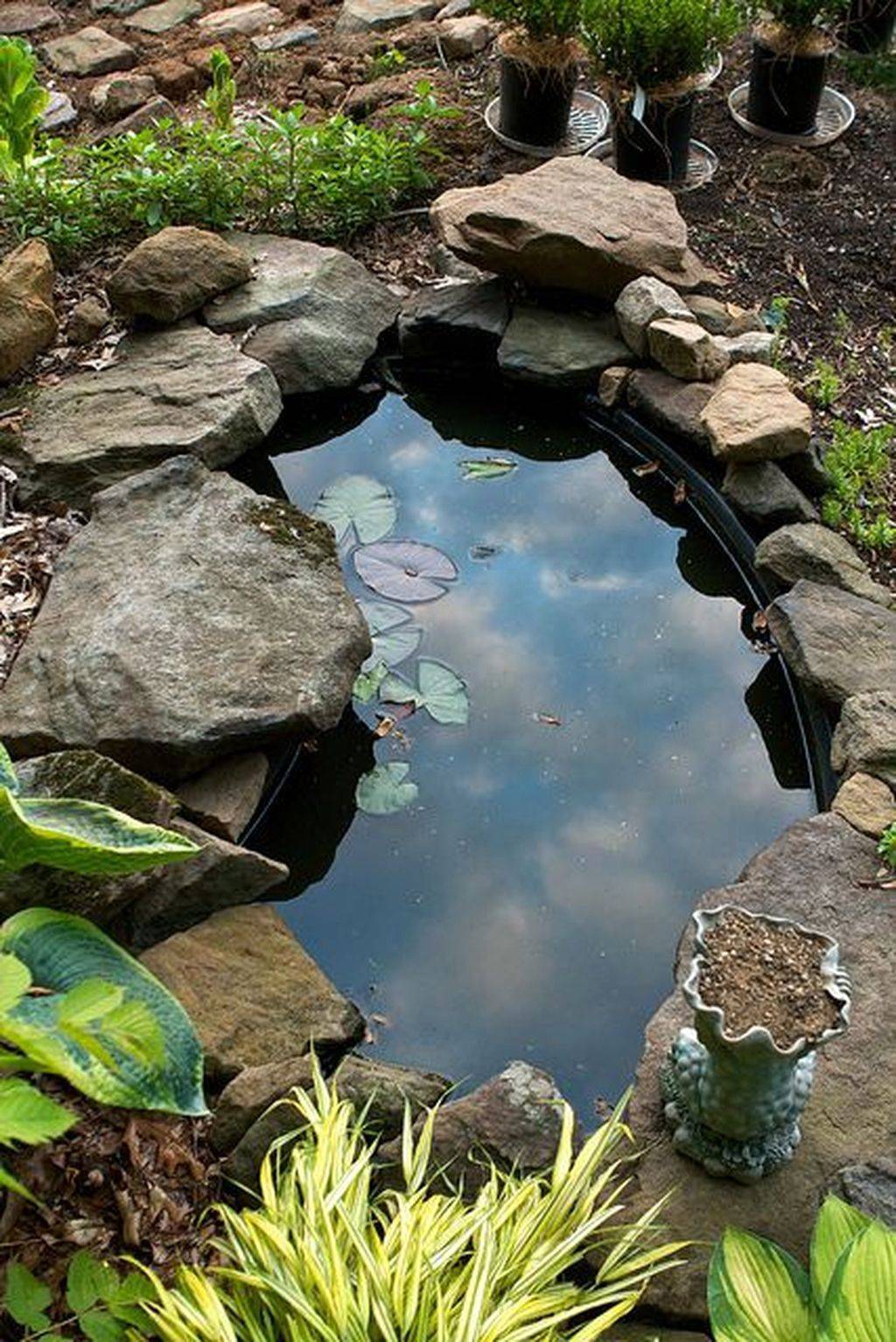 Amazing Backyard Pond Design Ideas