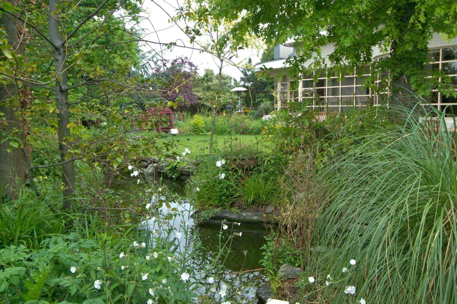 Chicago Urban Garden Tropical Landscape Chicago