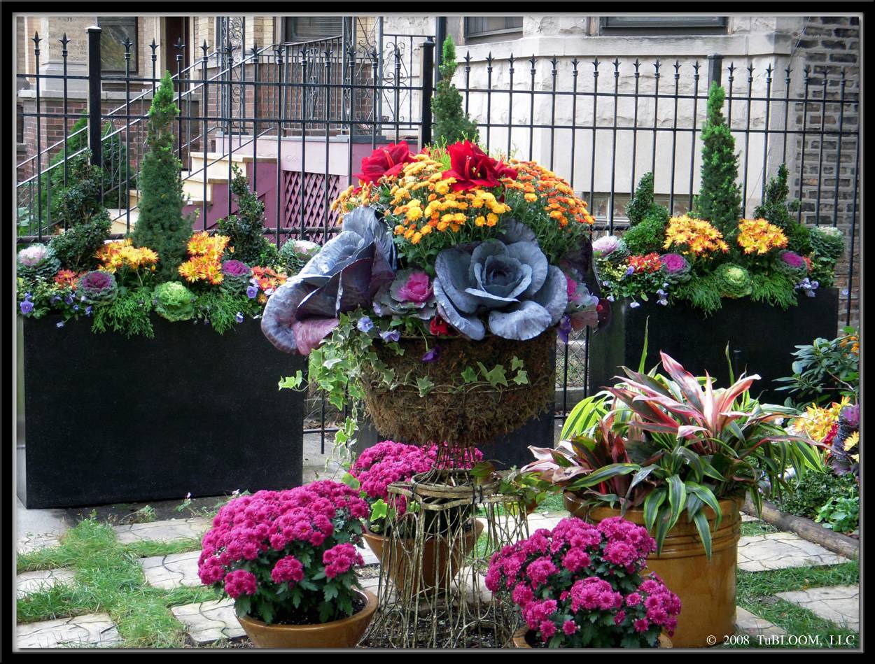 Contemporarydrivewaylandscapingluxurybestcreativelandscaping