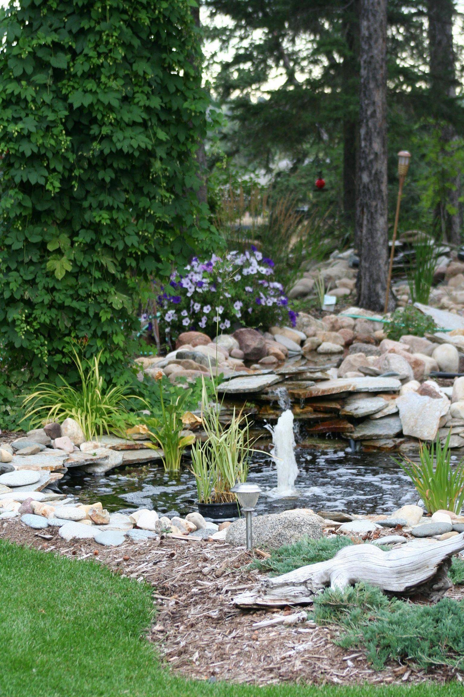 Contemporary Garden Designs