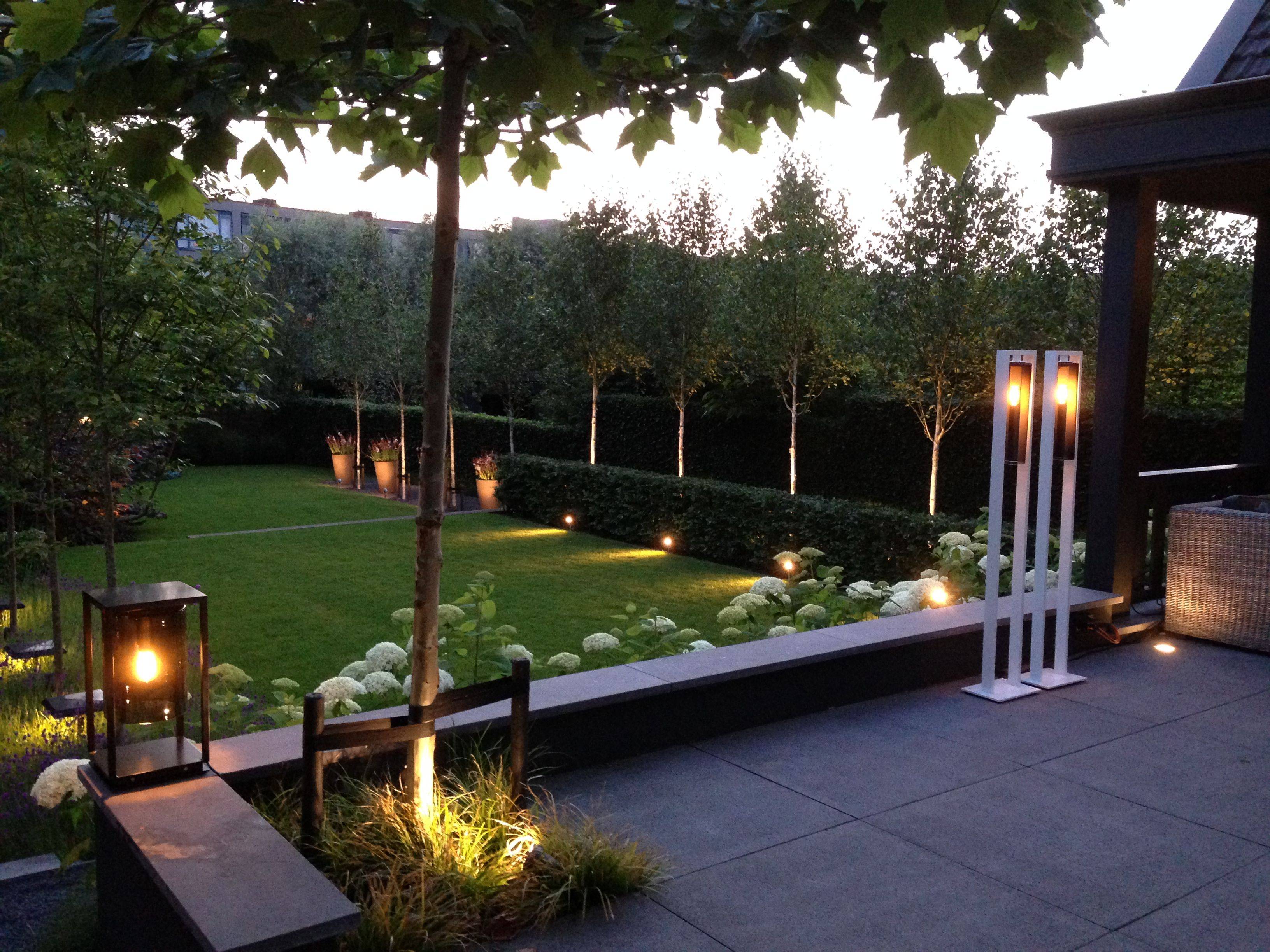 Modern Luxury Homes Beautiful Garden Designs Ideas