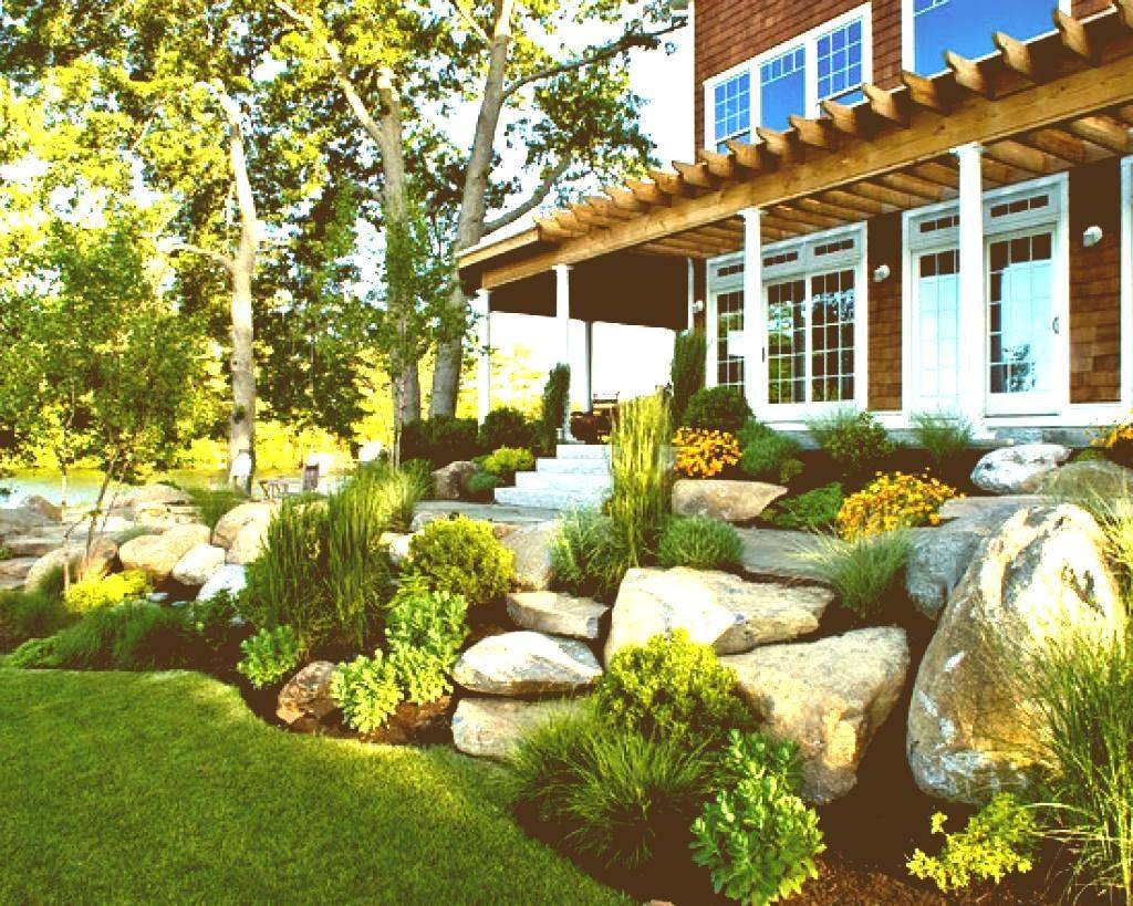 Luxury Backyard Design Trends