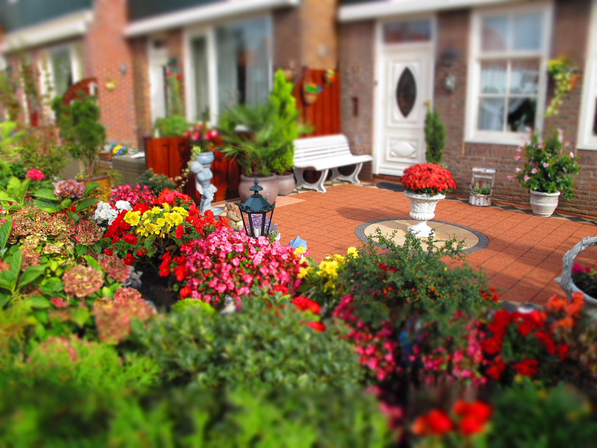 Luxuryoutdoorlivinggardendesignsouthdublinballinteer Garden