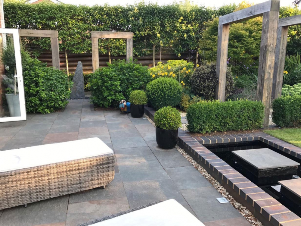 Short Wide Backyard