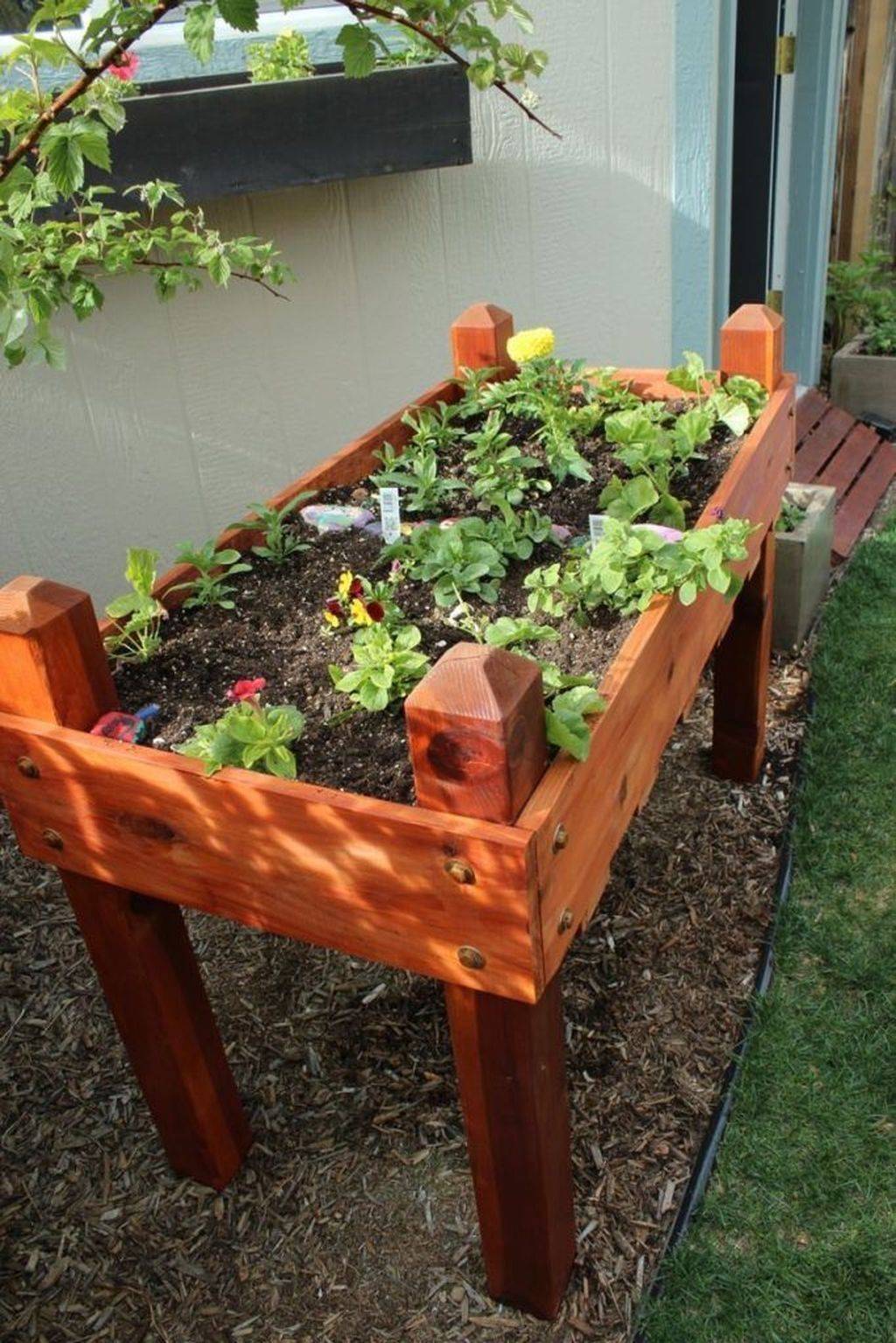 Luxury Small Modern Garden Design