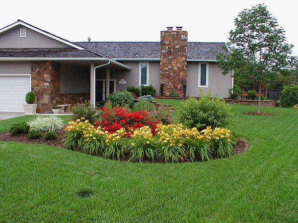 Backyard Landscaping