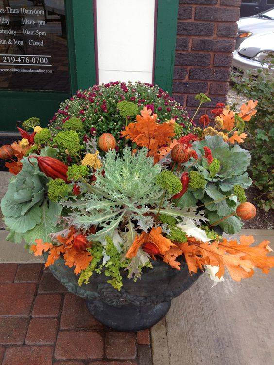 Successful Container Garden Design Tricks