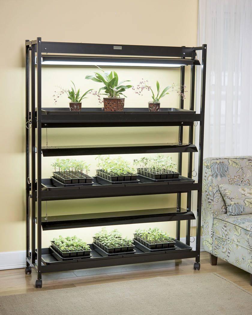 High Intensity Grow Lights