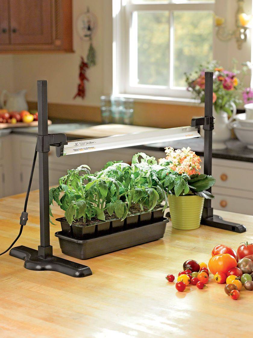 High Intensity Grow Light Fixture