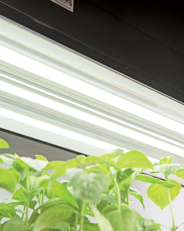 Sunlite High Intensity Tier Led