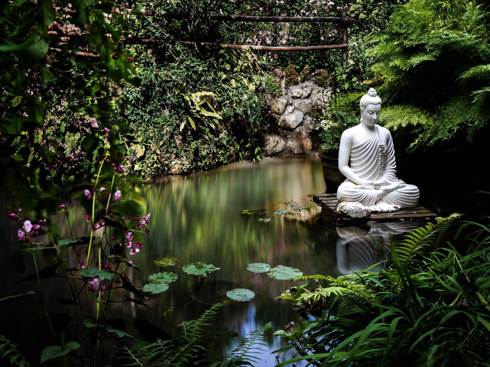 Meditating Buddha Statue