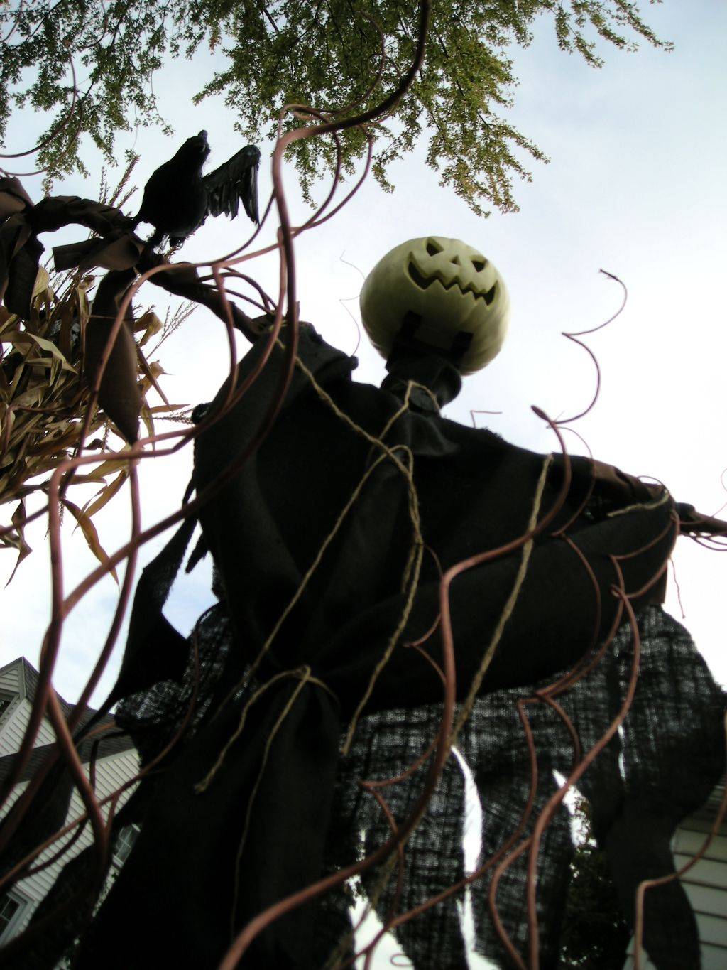 Summer Outdoor Games