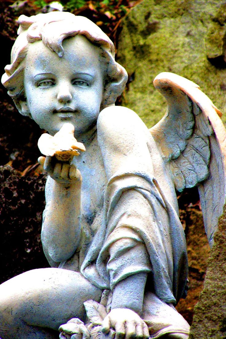 Wayfair Cherub Sculpture