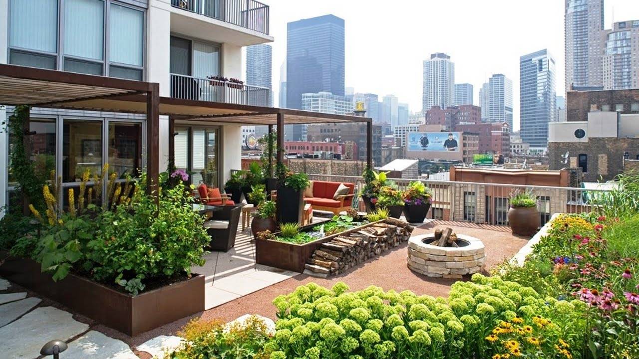 Rooftop Garden Ideas