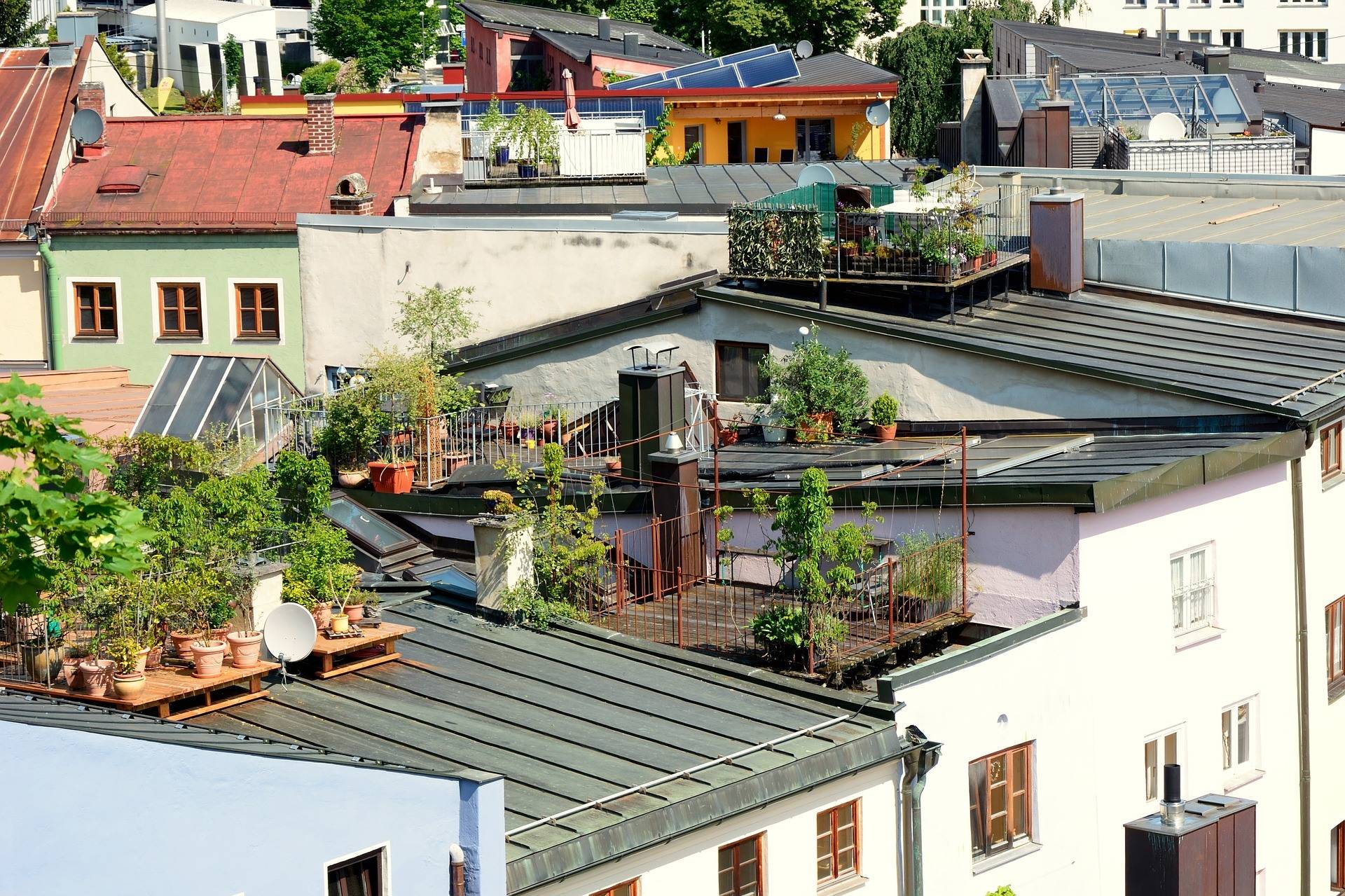 Roof Garden Design Ideas