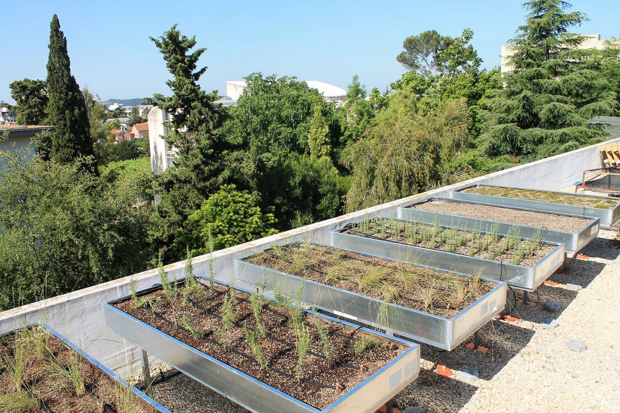 Most Beautiful Rooftop Garden Ideas