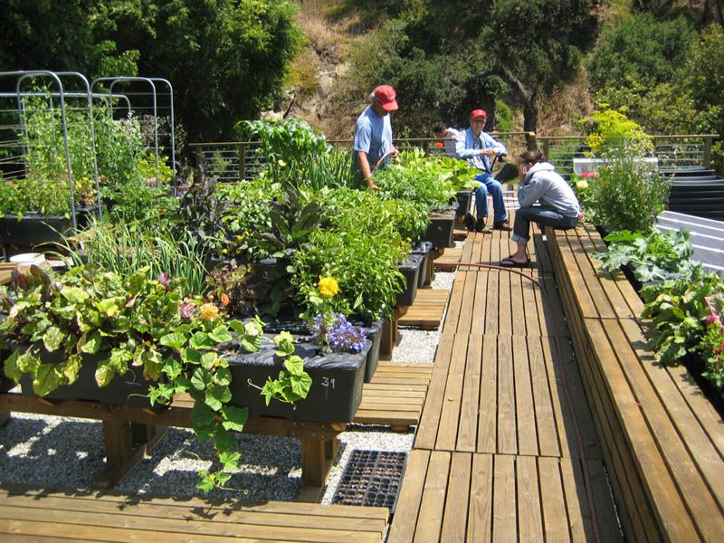 Fabulous Vegetable Garden Design Ideas