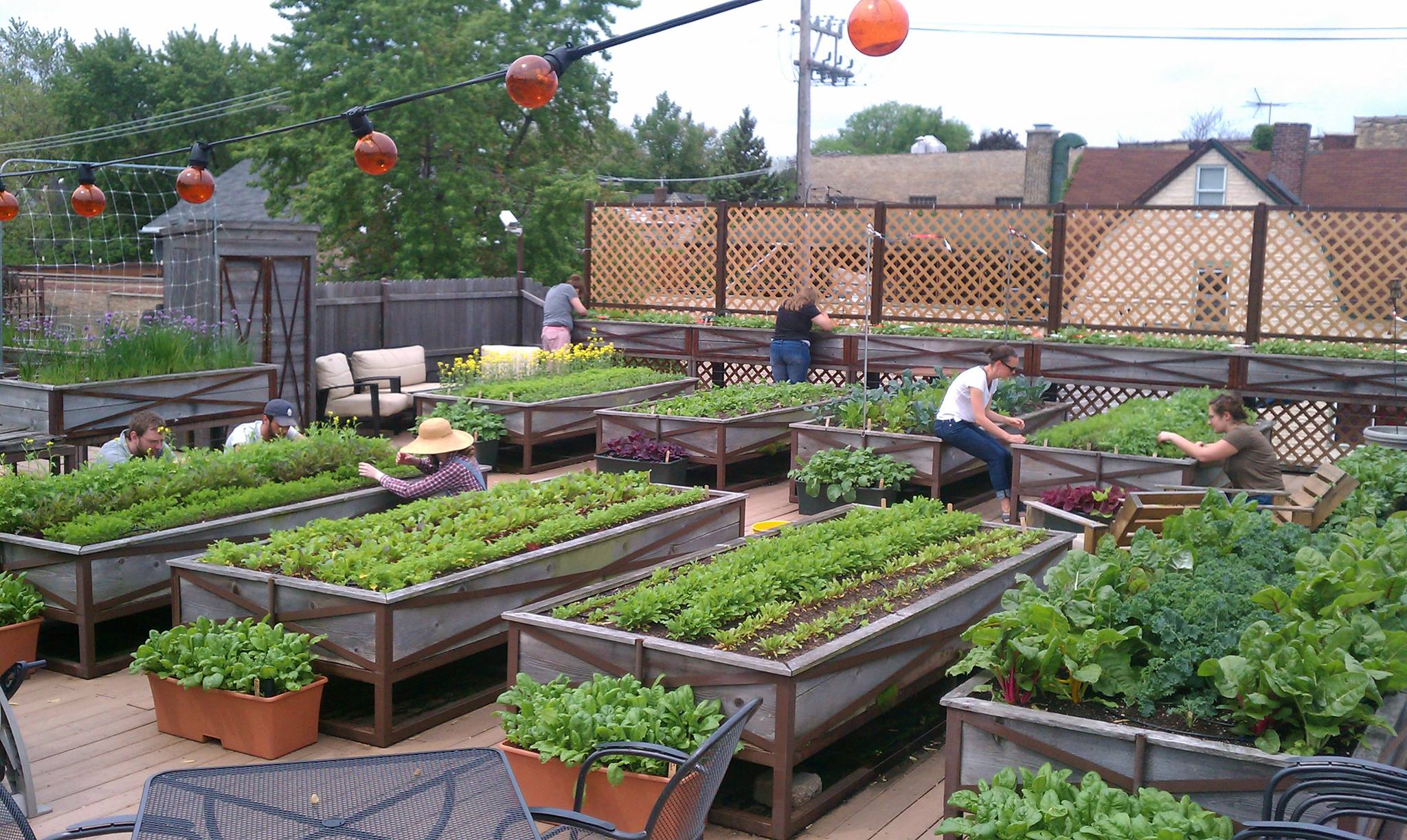 Roof Garden Design