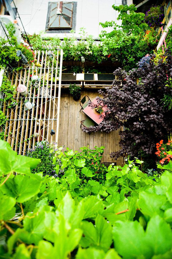 Family Food Garden Rooftop Garden