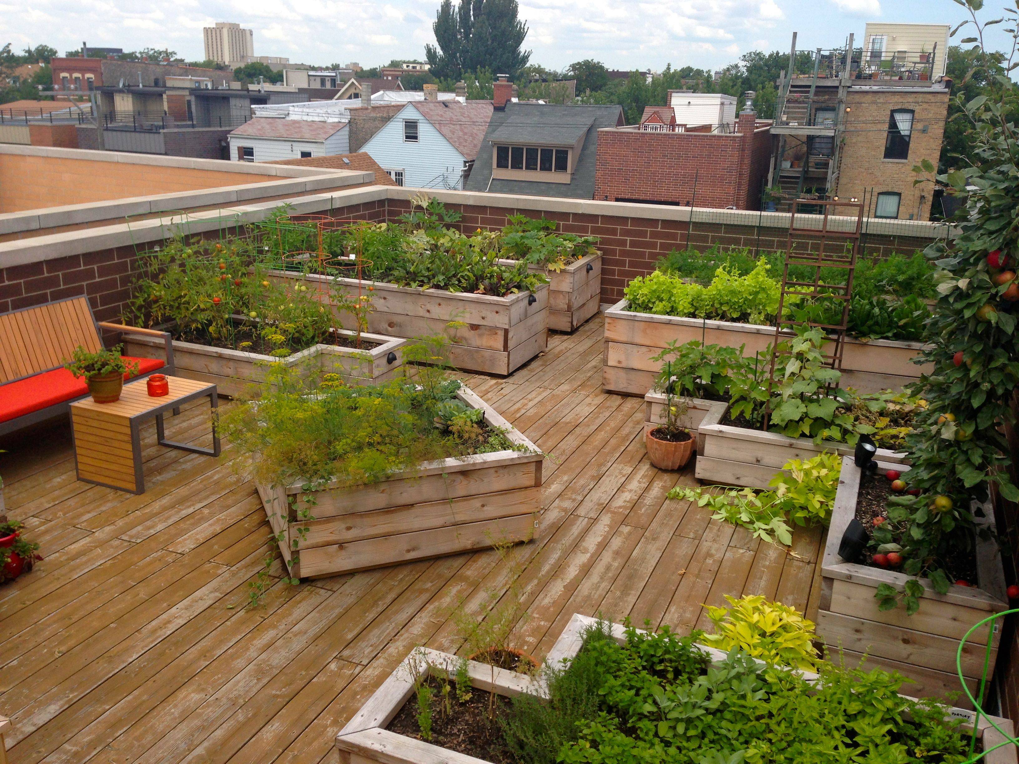 Rooftop Vegetable Garden Ideas