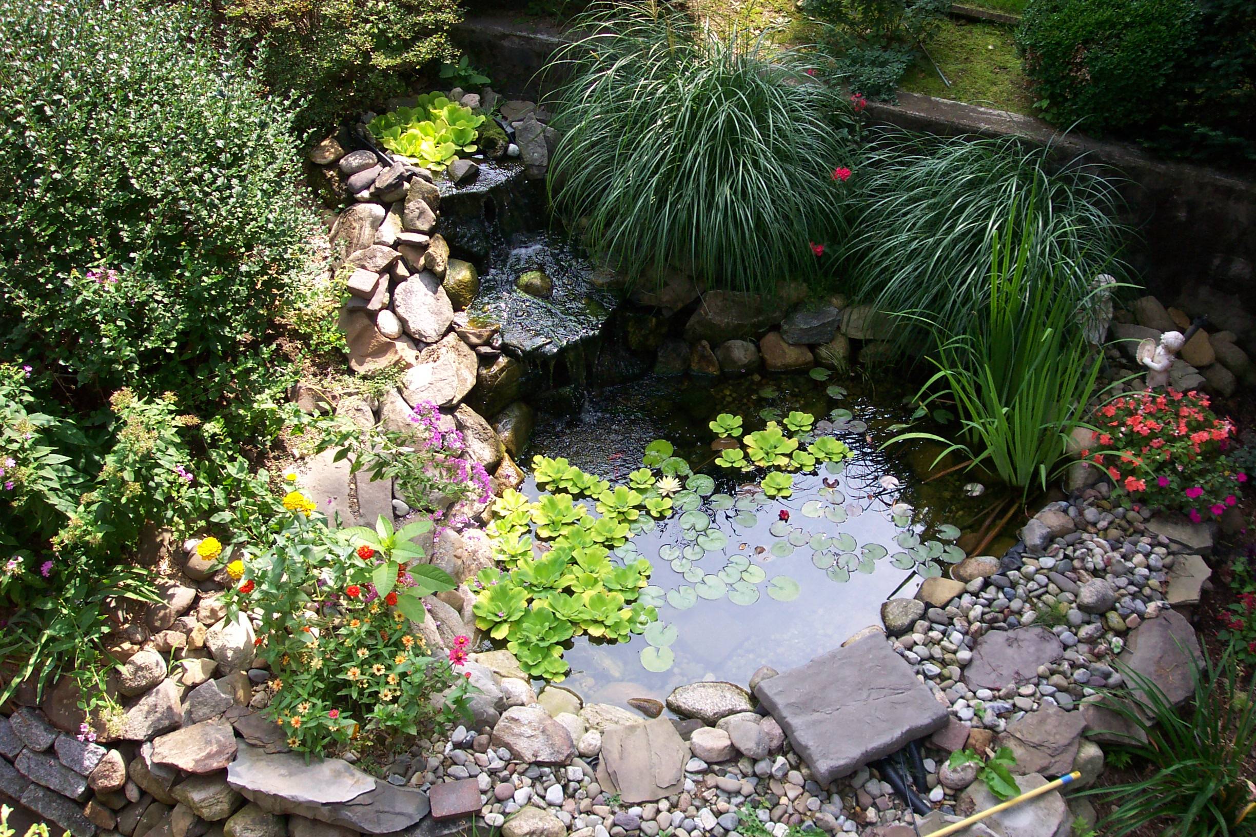 Stunning Backyard Ponds Ideas