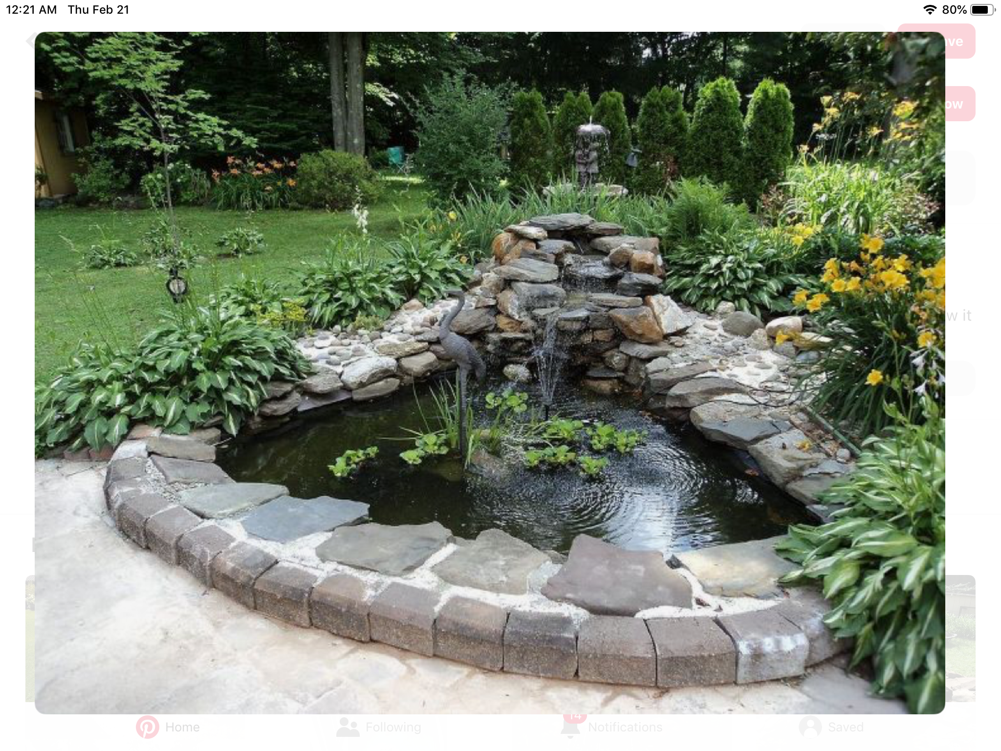 Backyard Water Feature Ideas