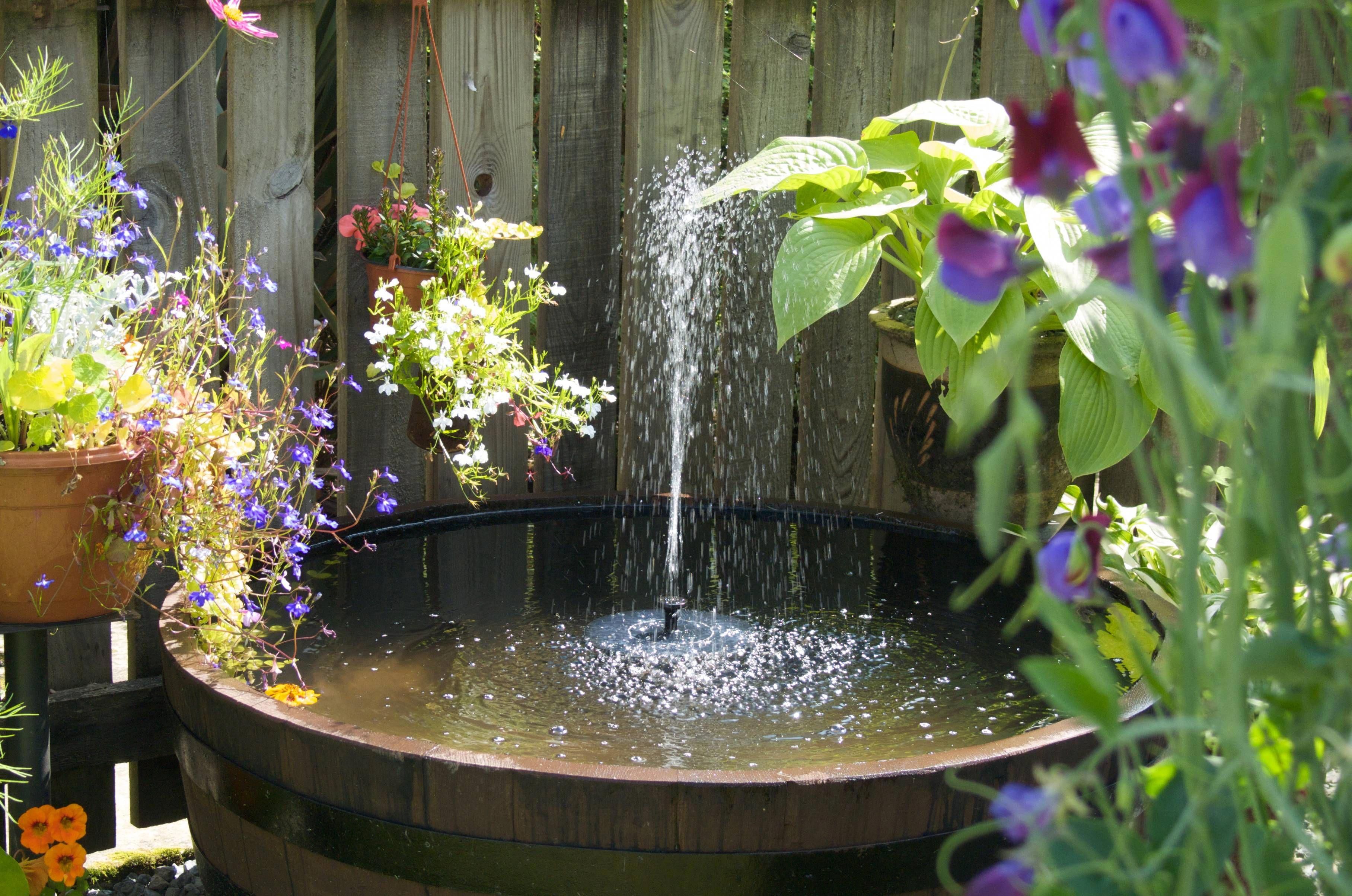 Small Garden Pond Fountains Backyard Design Ideas