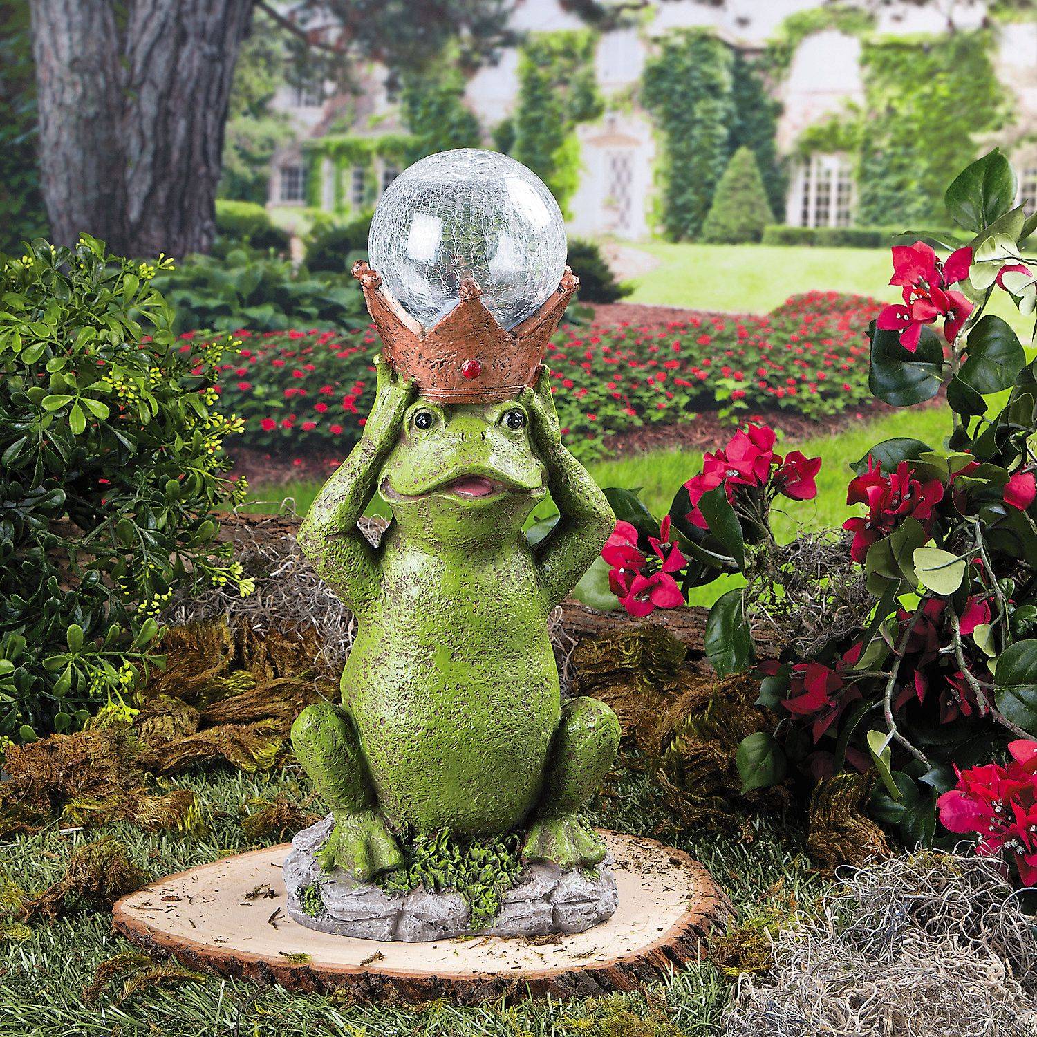 Solar Powered Outdoor Lights