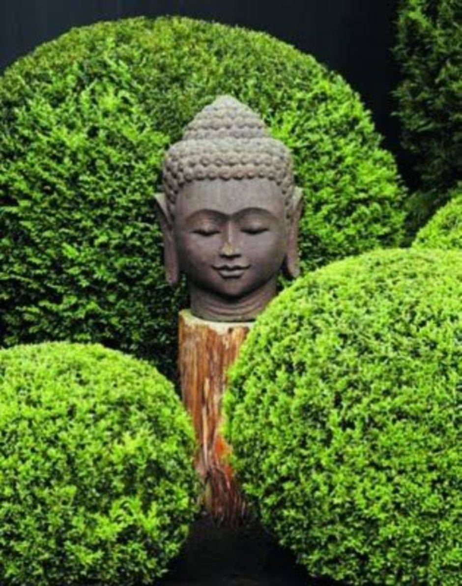 Outdoor Meditation
