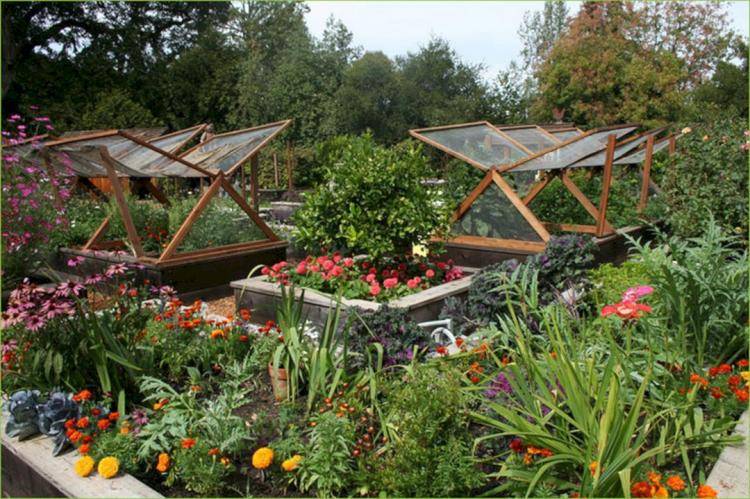 Best Productive Small Vegetable Garden Ideas