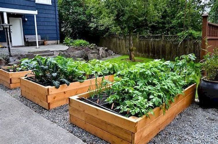 Most Productive Small Vegetable Garden Ideas