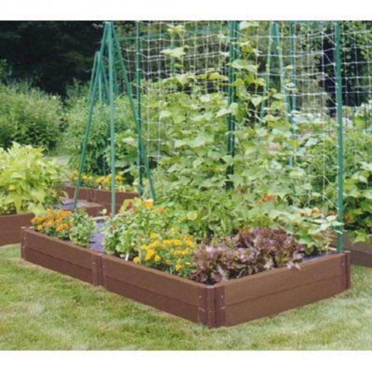 Most Productive Small Vegetable Garden Ideas