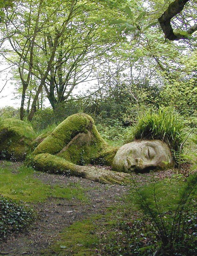 Lost Garden