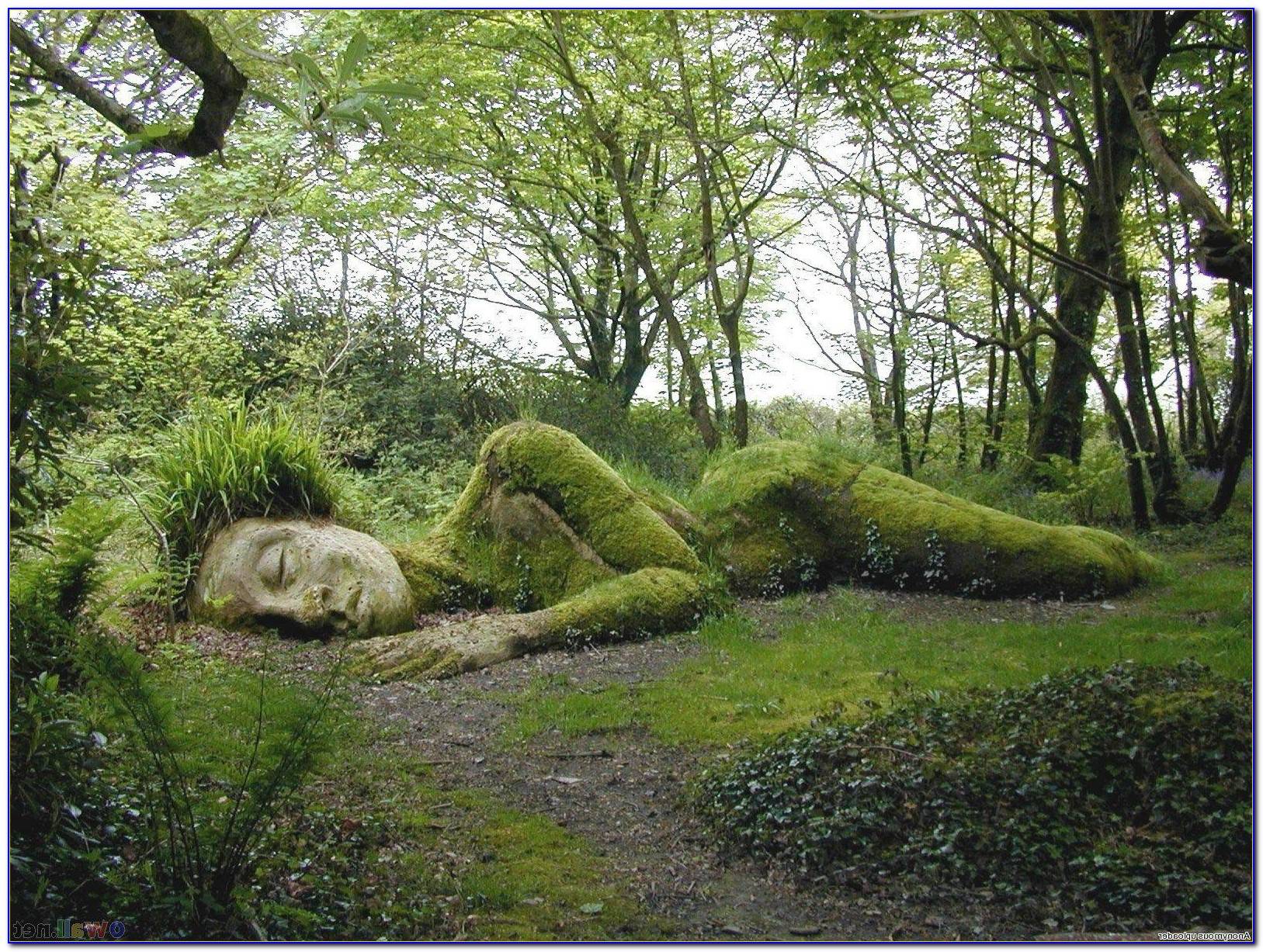Lost Garden