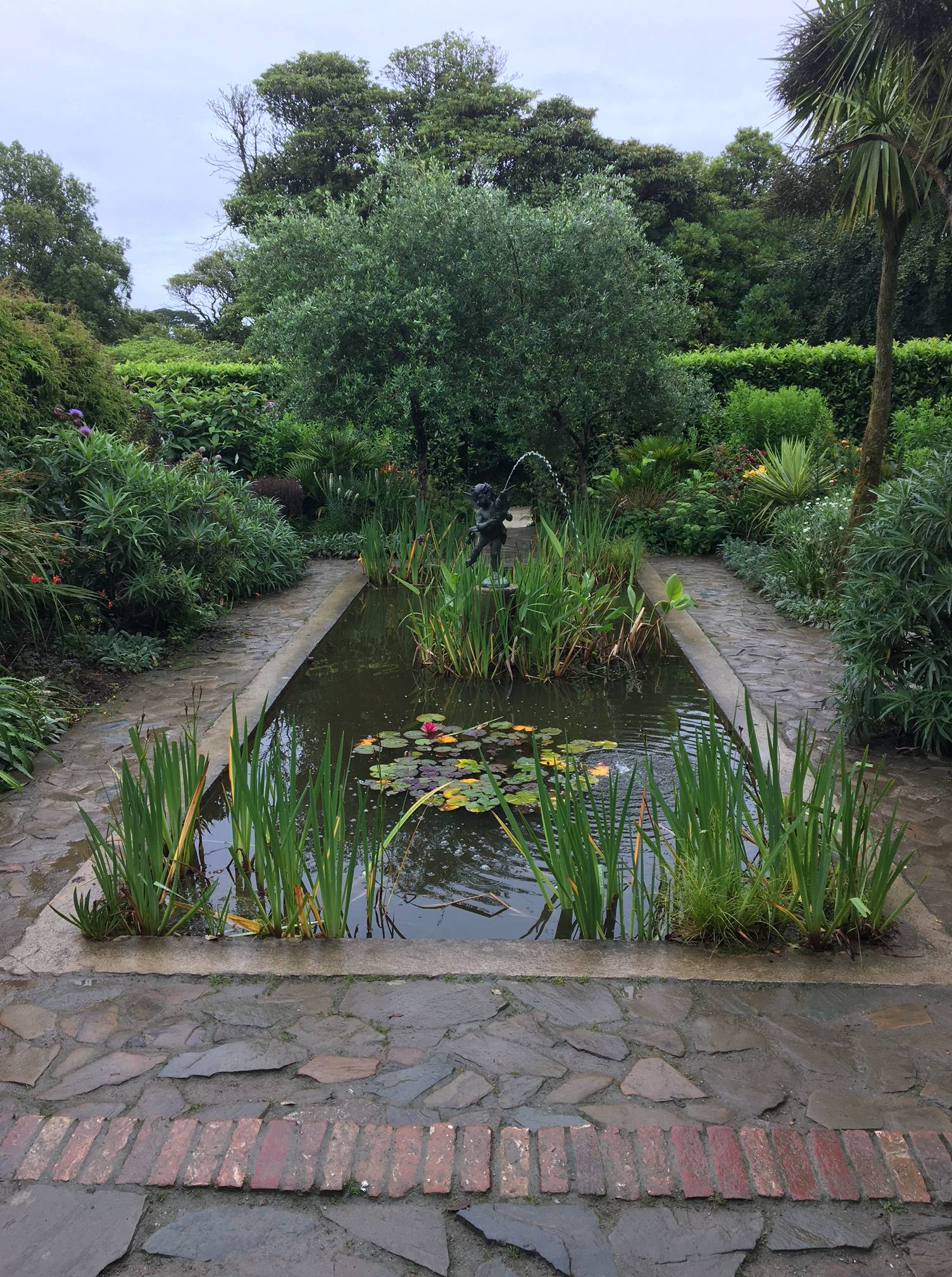 Garden Ideas