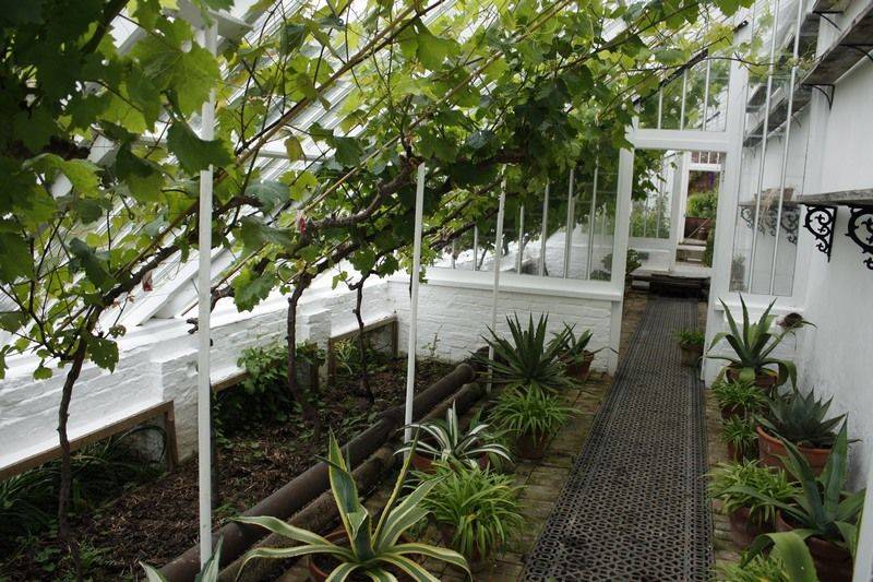 Garden Ideas Iii
